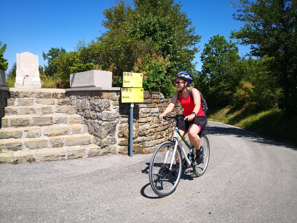 Cycling Istria trough vineyards and olive groves