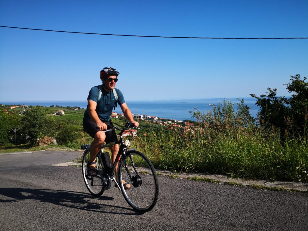 Cycling Istria trough vineyards and olive groves