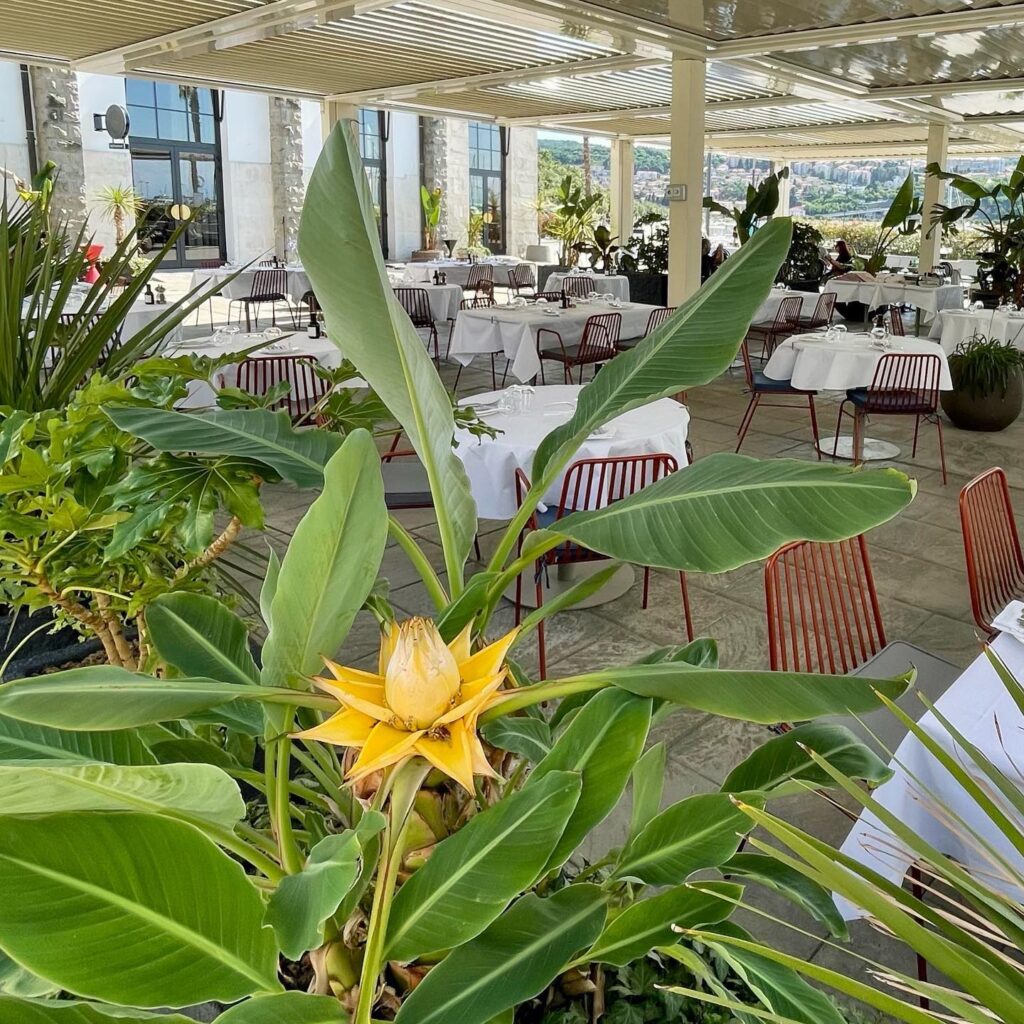 Restaurant Capra in Koper - Excellent food and beautiful creations, pleasant and modern atmosphere