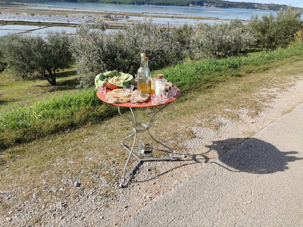 5-Course Food Tour (eBike tour) Piran, Istria