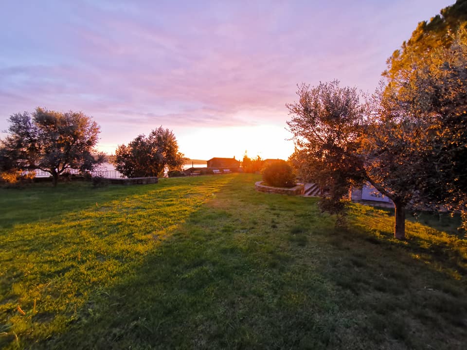 5-Course Food Tour (eBike tour) Piran, Istria
