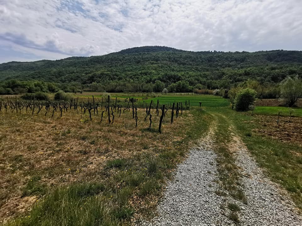 Piran Parks nature reserves: Piran – the Tartin town, Portorož - the flower town, Sečovlje salt pans, Malija – Istrian village, Šared