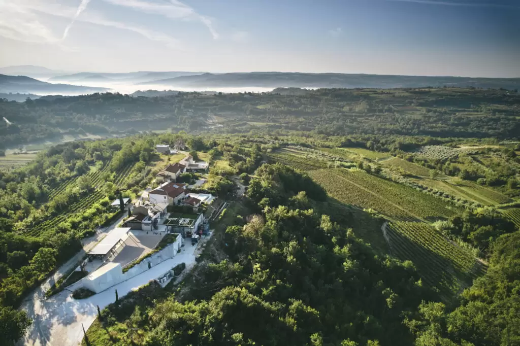 Winemakers of Croatian Istria: Kozlovič / Buje, Kabola / Buje, Degrassi / Savudrija, Clai / Buje ISTRIA WINE TOURS - Best winemakers