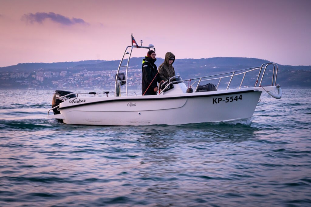 Sea Fishing Slovenia; Common Pandora, Mackrel, Golden Mackarel, Cuttlefish and Squid, Piper Gurnard, Whiting