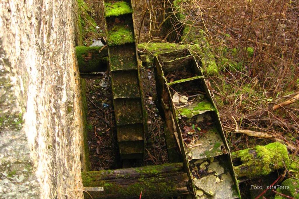 Dragonja river valley