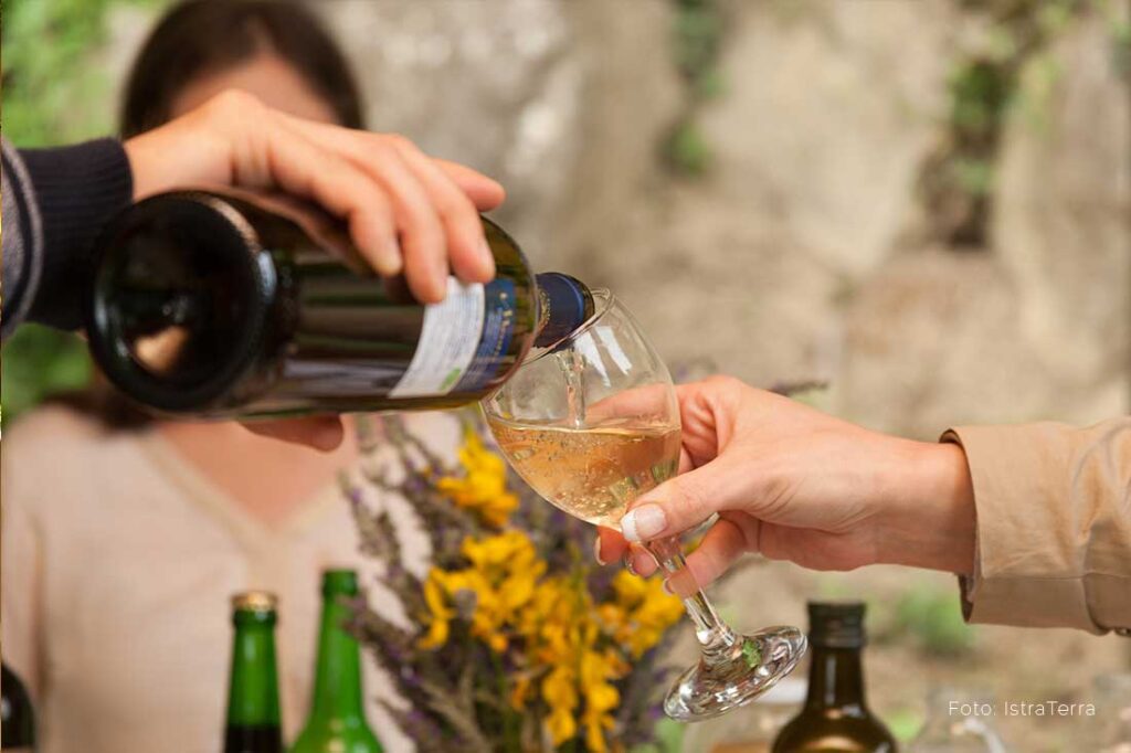 Wines of Istria - WINE TASTING Istria, Slovenia