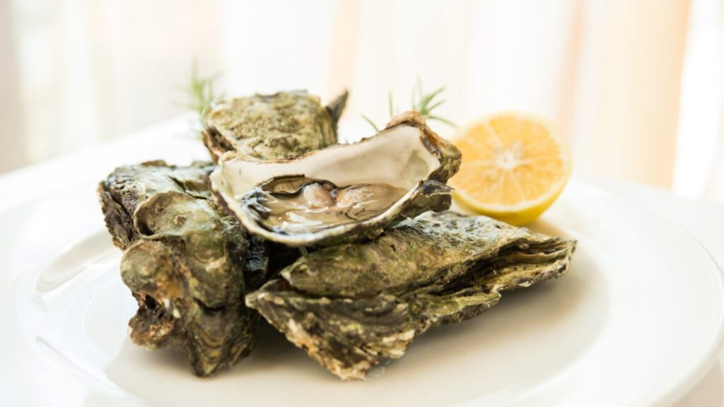 Marina Restaurant - Restaurant Izola