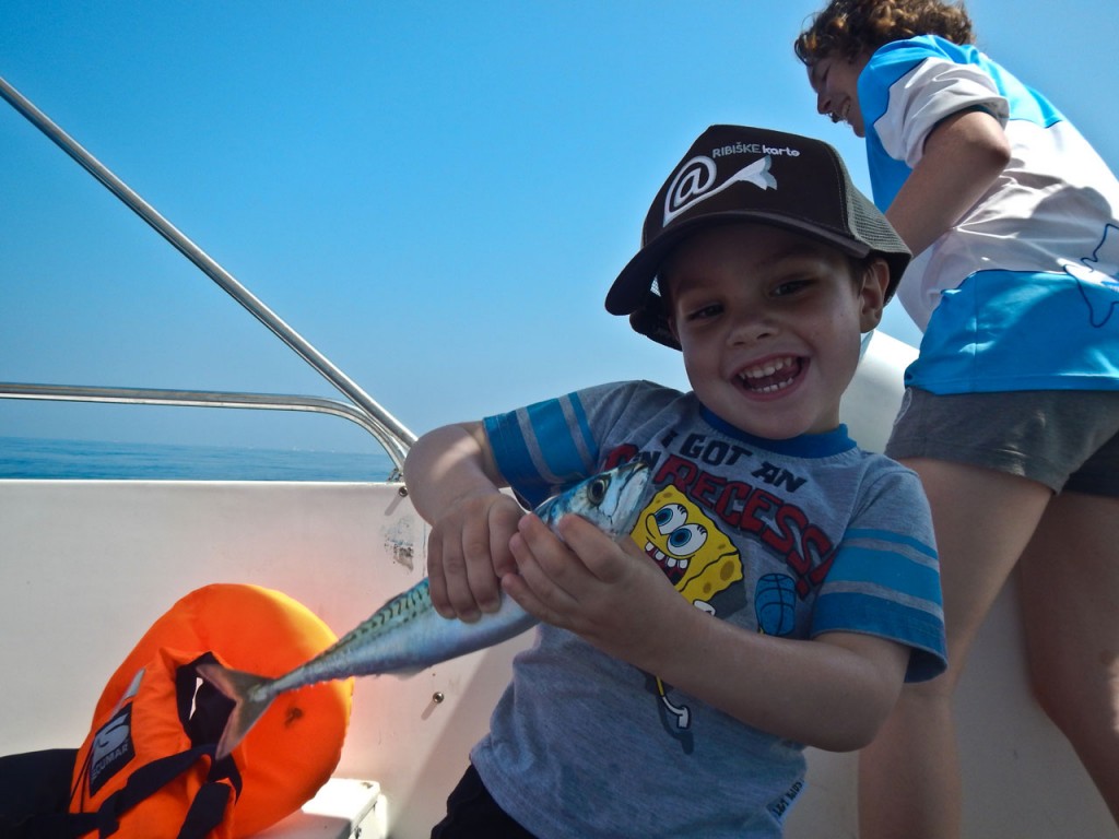 Sea Fishing Slovenia; Common Pandora, Mackrel, Golden Mackarel, Cuttlefish and Squid, Piper Gurnard, Whiting