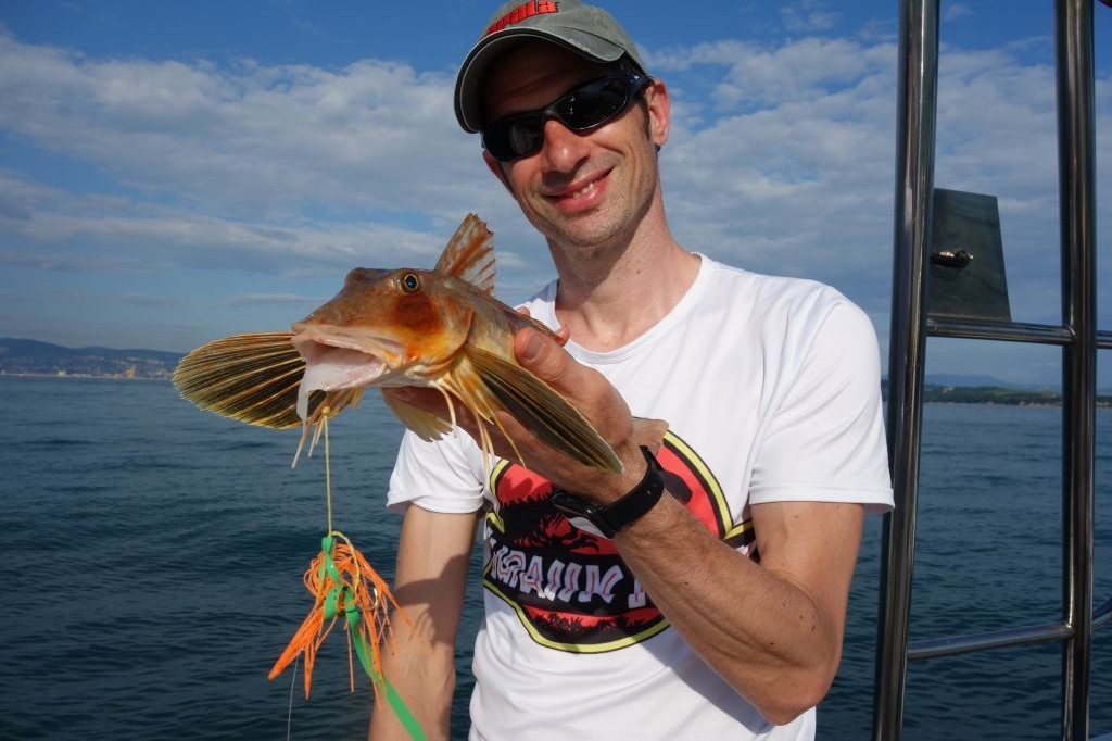 Sea Fishing Slovenia; Common Pandora, Mackrel, Golden Mackarel, Cuttlefish and Squid, Piper Gurnard, Whiting