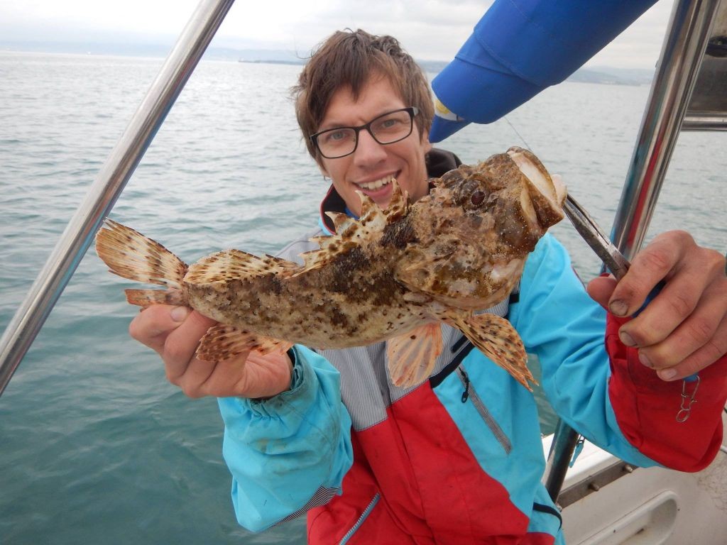 Sea Fishing Slovenia; Common Pandora, Mackrel, Golden Mackarel, Cuttlefish and Squid, Piper Gurnard, Whiting