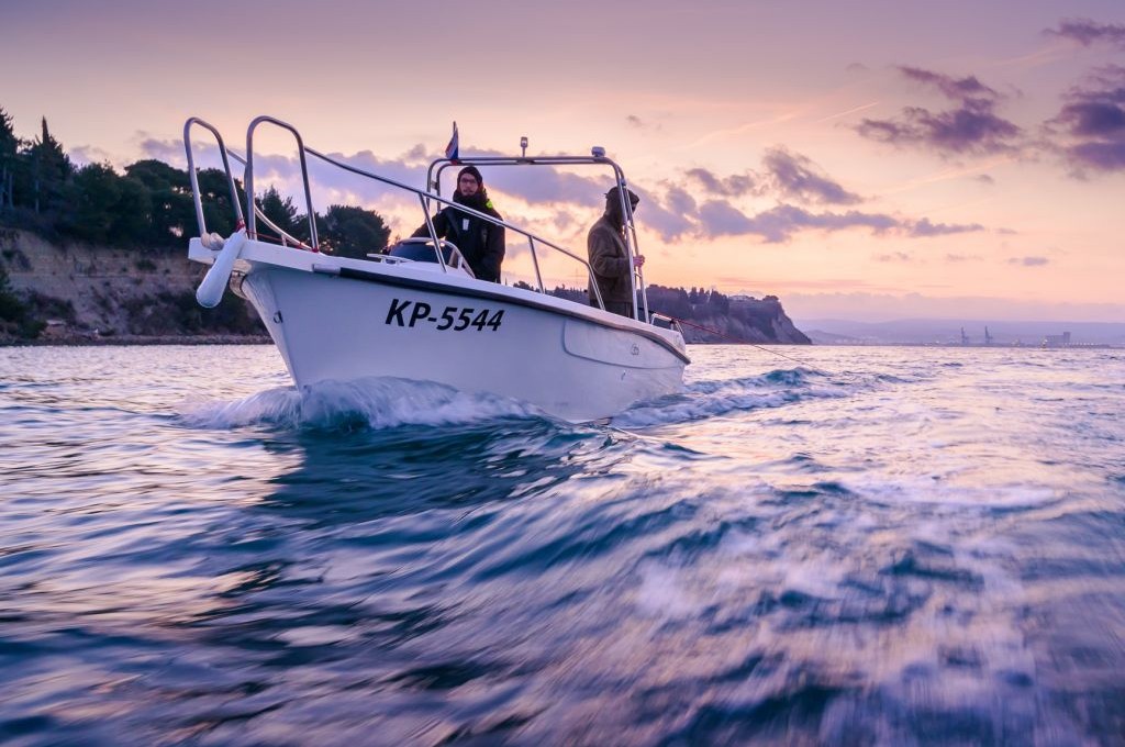 Sea Fishing Slovenia; Common Pandora, Mackrel, Golden Mackarel, Cuttlefish and Squid, Piper Gurnard, Whiting