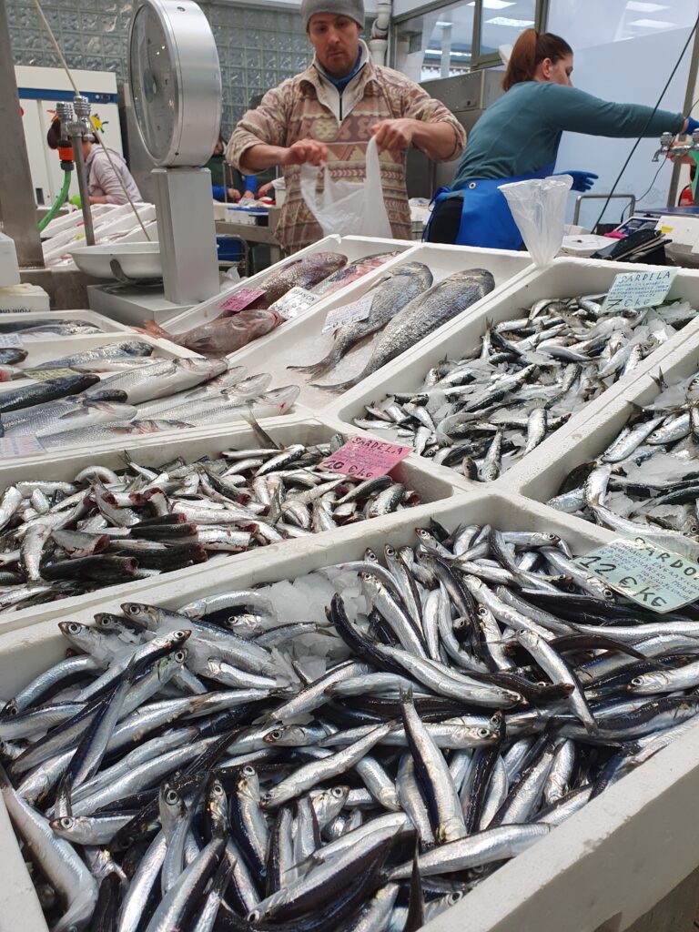 Grocery stores in Koper: Kmetijska zadruga Agraria, Mercator, Hipermarket SPAR, Hofer, Fish market, Local Market, Eurospin, Tuš...