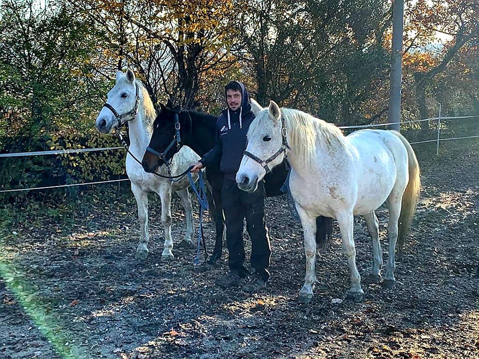 Horse Riding at Medljan Farm. Medljan farm is only 4 kilometers from Izola and Portorož.