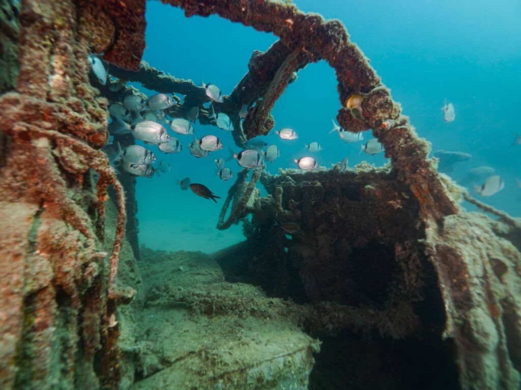 Nemo Divers - Fiesa, Scubadiving in Slovenia, Piran, Strunjan, Izola, Koper, Fiesa