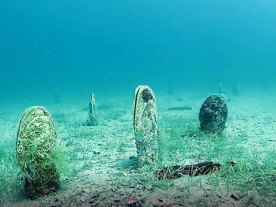 Diving Center Sharky - Fiesa, Scubadiving in Slovenia, Fiesa reef, Piran, Strunjan
