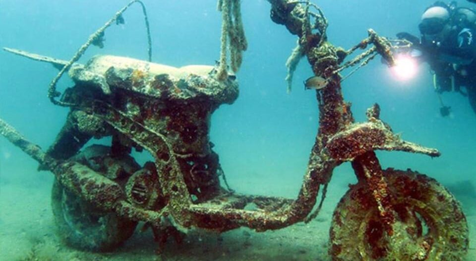 Diving Center Sharky - Fiesa - Piran - Slovenia Coast Dive Sites