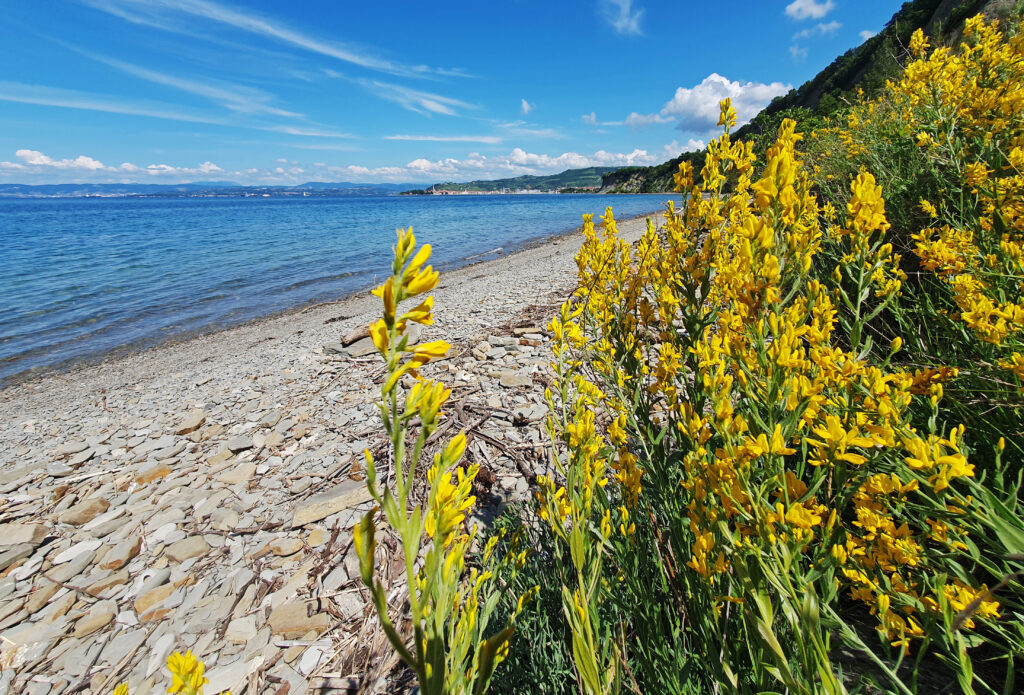 Bele Skale Beach - Hiking and walking in Slovenia