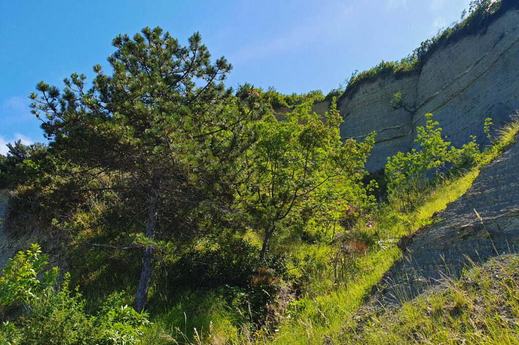Bele Skale Beach - Hiking and walking in Slovenia