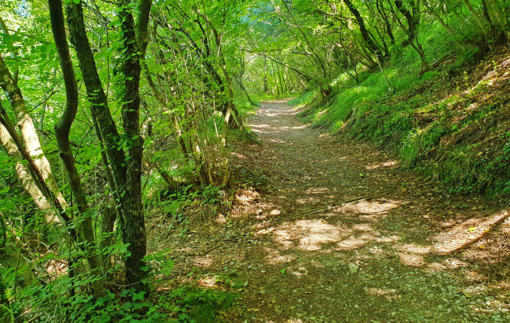 Bele Skale Beach - Hiking and walking in Slovenia