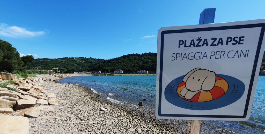 Dog beach Slovenia : Strunjan