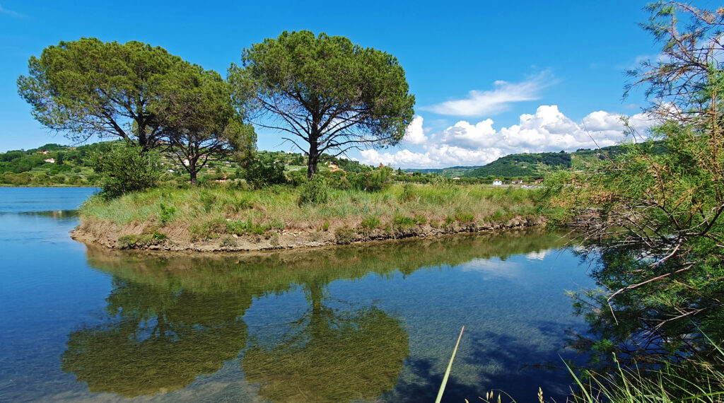 Hiking in Piran - Footpath Piran and Strunjan