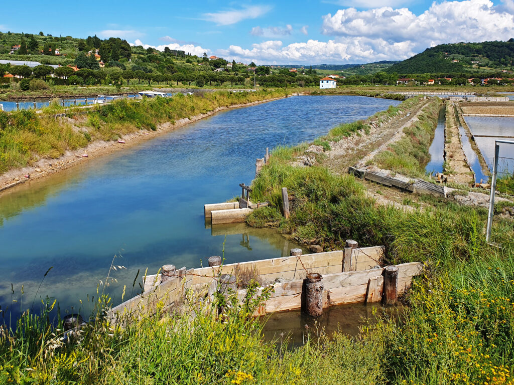 Strunjan Salt Pans , Strunjan, Izola, Slovenia