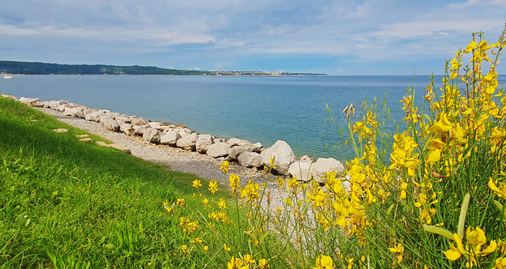 Top things to do in Portoroz