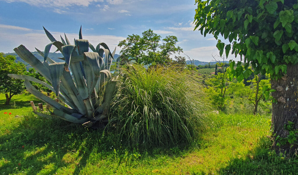 Moon Bay Strunjan, Izola, Slovenia, Nature reserve park