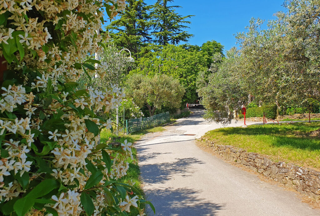 Moon Bay Strunjan, Izola, Slovenia, Nature reserve park