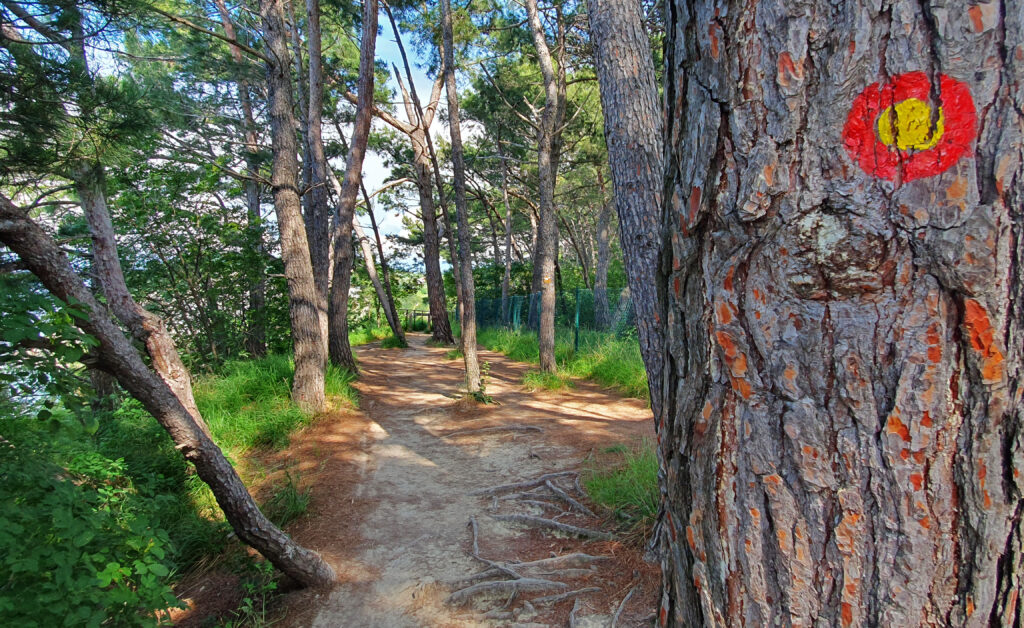 Best Things to do in Izola Slovenia