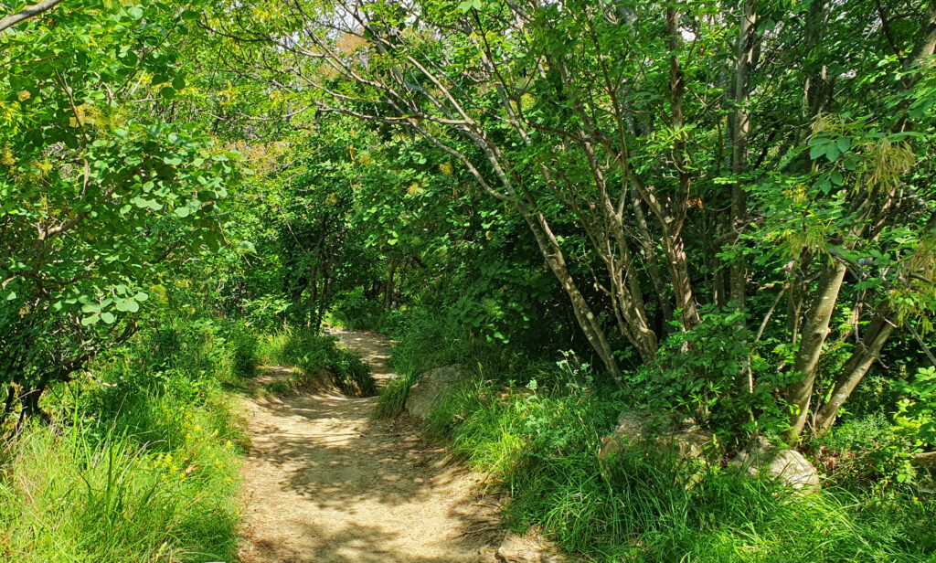 Moon Bay Strunjan, Izola, Slovenia, Nature reserve park