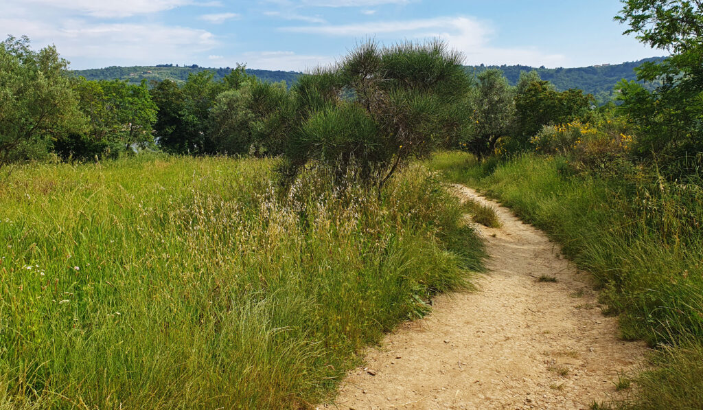 Moon Bay Strunjan, Izola, Slovenia, Nature reserve park