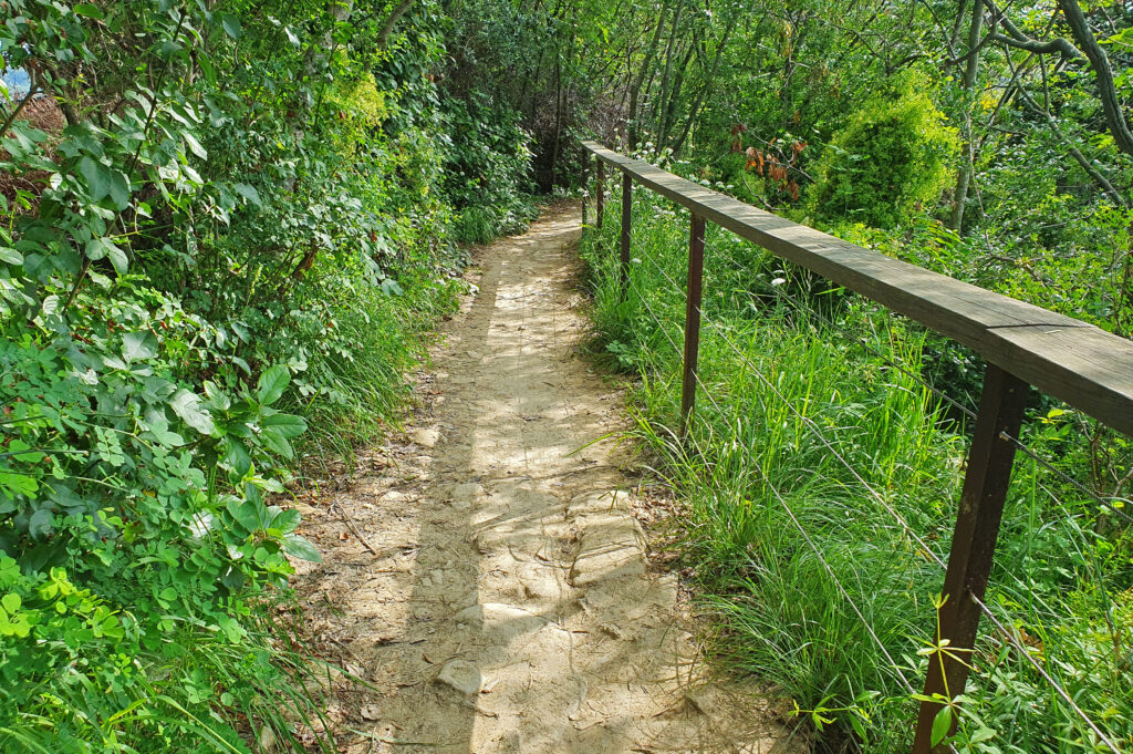 Moon Bay Strunjan, Izola, Slovenia, Nature reserve park