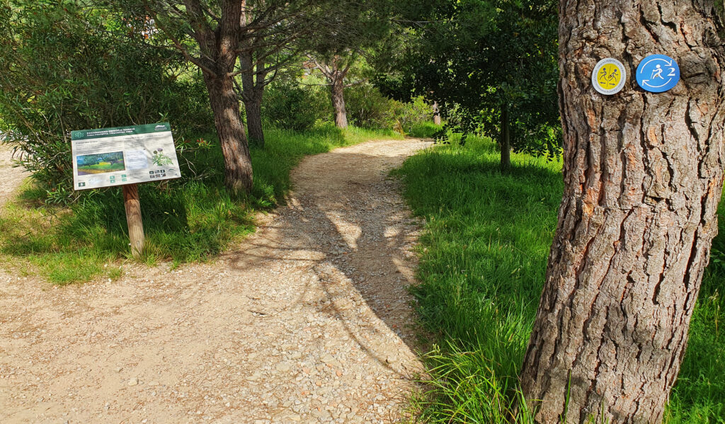 Moon Bay Strunjan, Izola, Slovenia, Nature reserve park