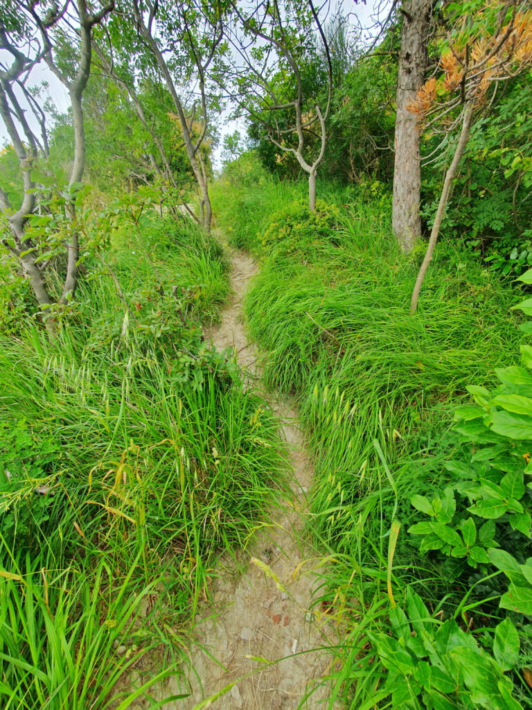 Moon Bay Strunjan, Izola, Slovenia, Nature reserve park