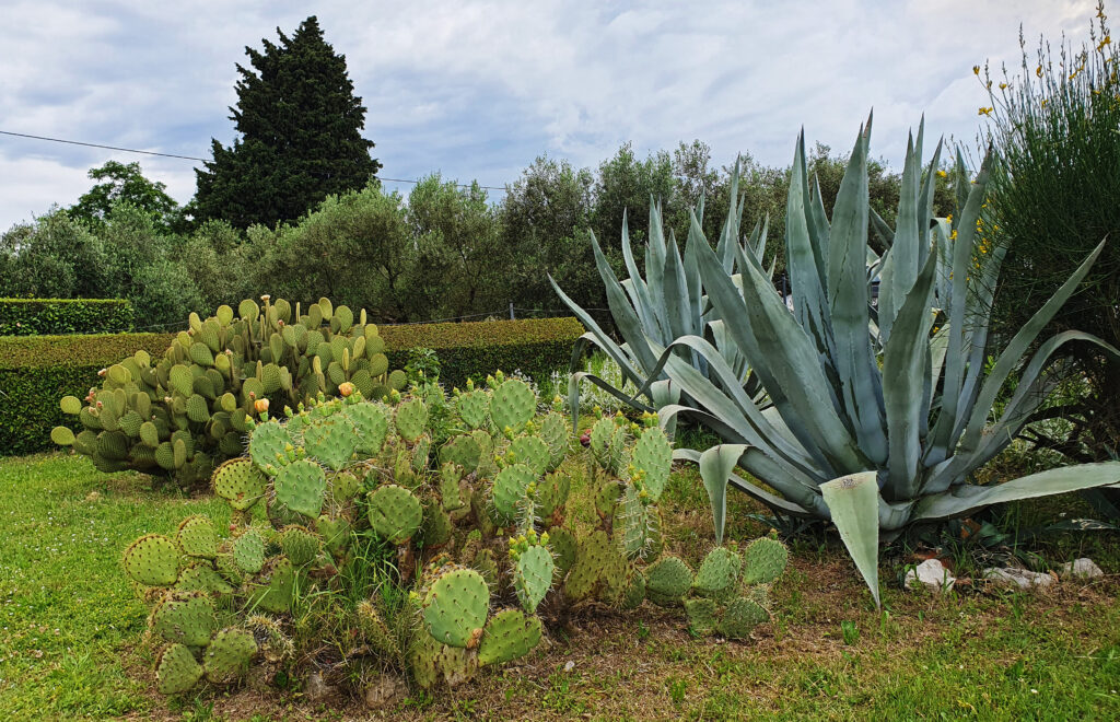 Moon Bay Strunjan, Izola, Slovenia, Nature reserve park