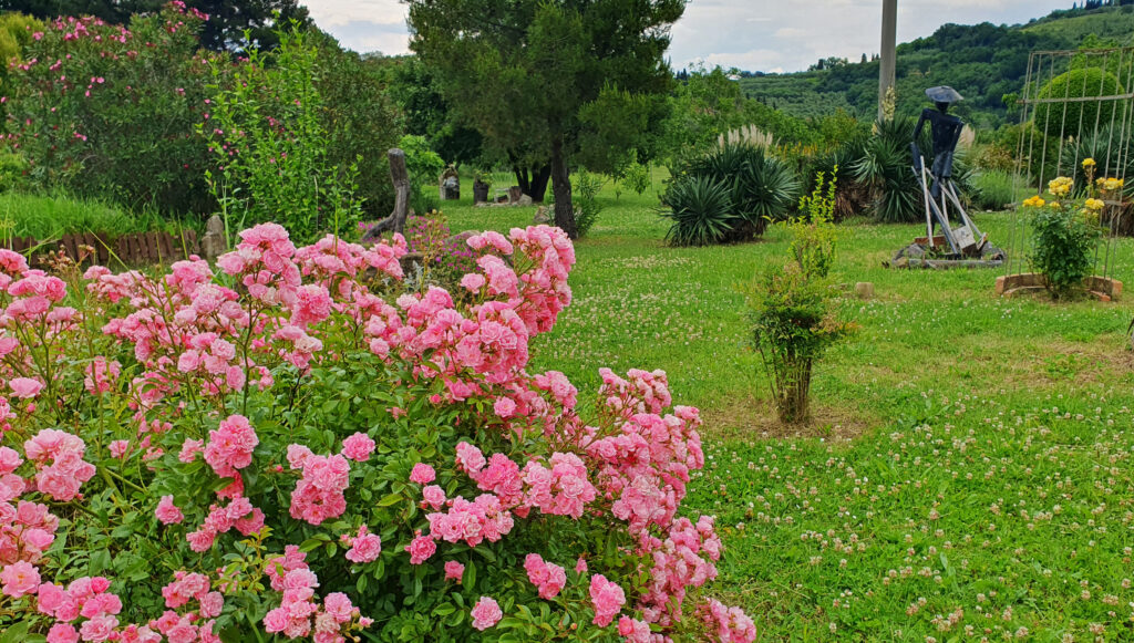 Moon Bay Strunjan, Izola, Slovenia, Nature reserve park