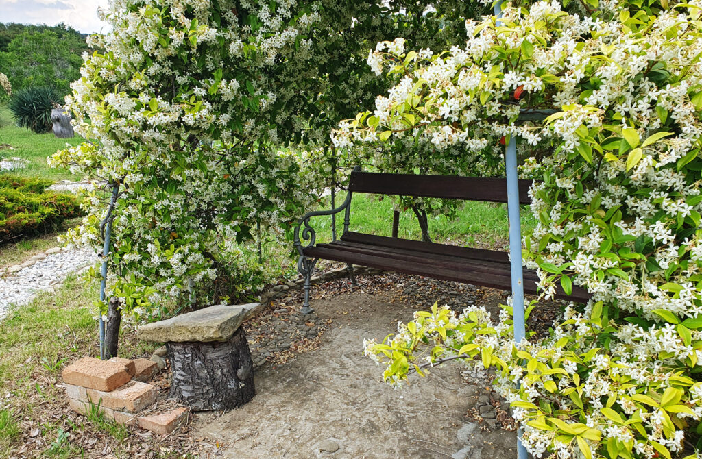 Moon Bay Strunjan, Izola, Slovenia, Nature reserve park