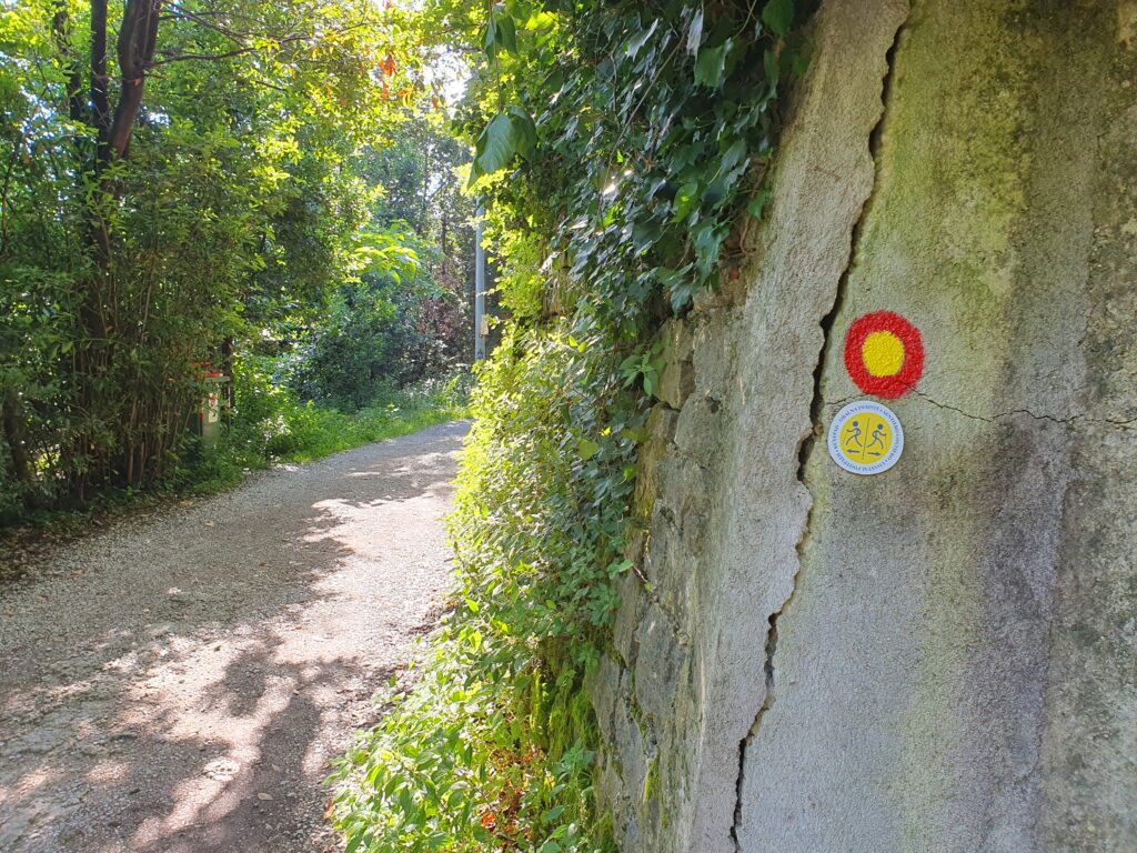 Pacug Beach, Slovenia - snorkeling