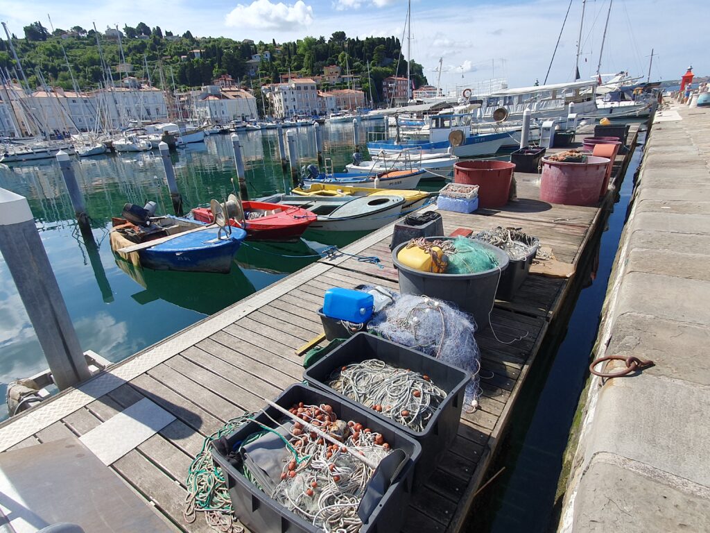 Hiking in Piran - Footpath Piran and Strunjan