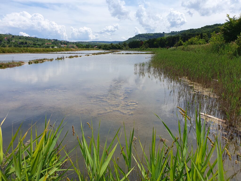 Strunjan Salt Pans , Strunjan, Izola, Slovenia