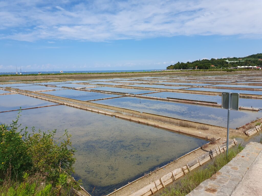 Strunjan Salt Pans , Strunjan, Izola, Slovenia