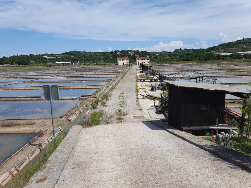 Strunjan Salt Pans , Strunjan, Izola, Slovenia