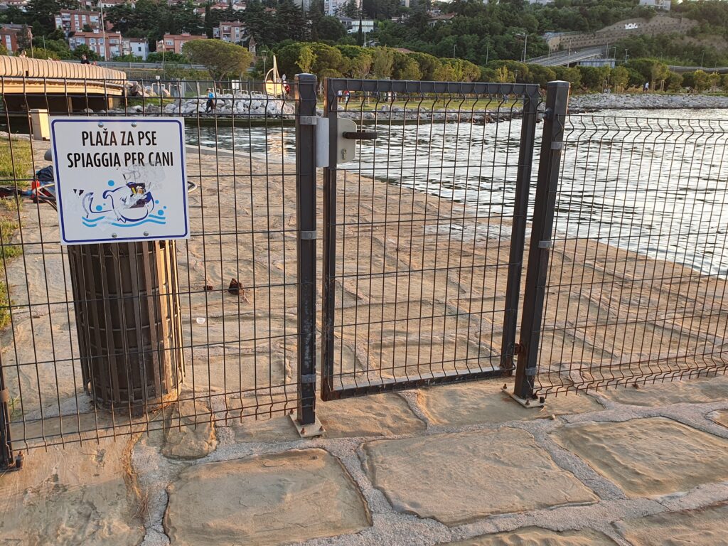 Dog Beach in Koper