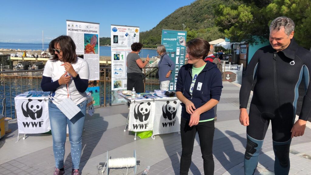 Trieste Castle Miramare - Marine Reserve of Miramare - Scubadiving and Diving