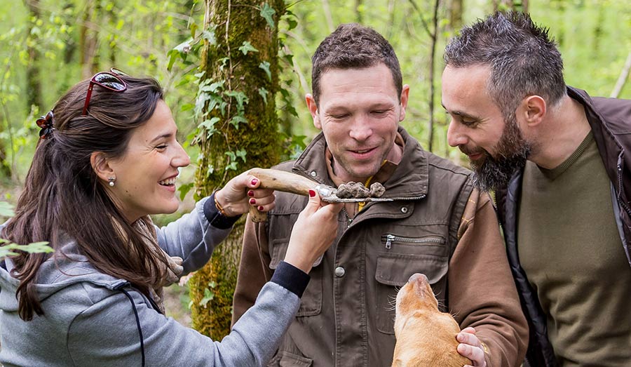 Truffle Hunting Motovun, Croatia; Authentic and unique experience of truffle hunting in the magical woods of old Motovun Forest