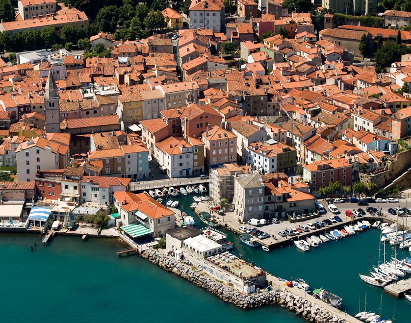Boat trip: Trieste - Muggia by Dlfino Verde