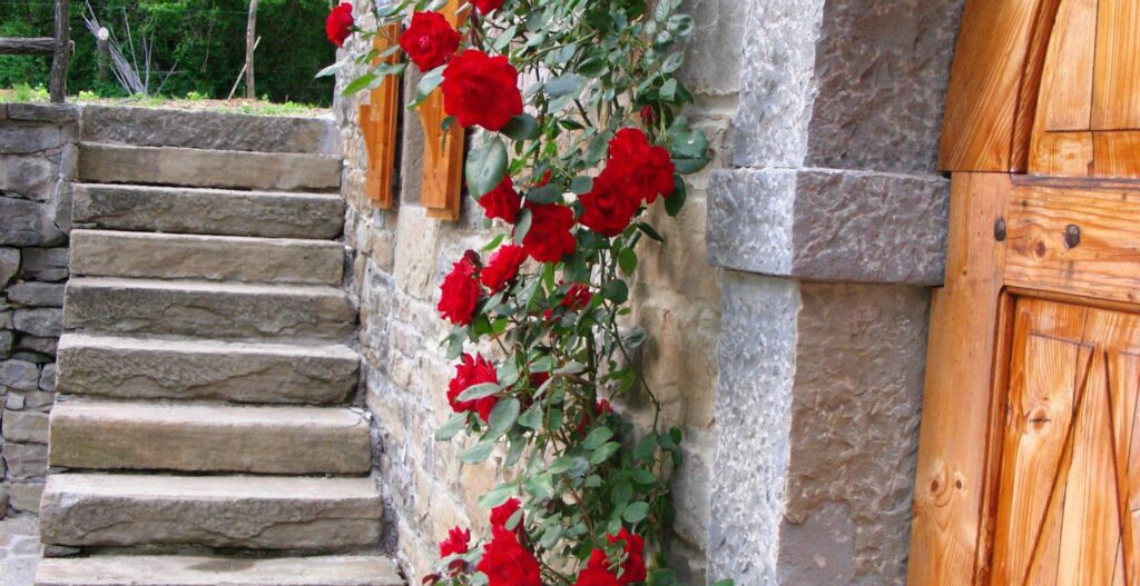 Wedding day at Kodarinov Mlin