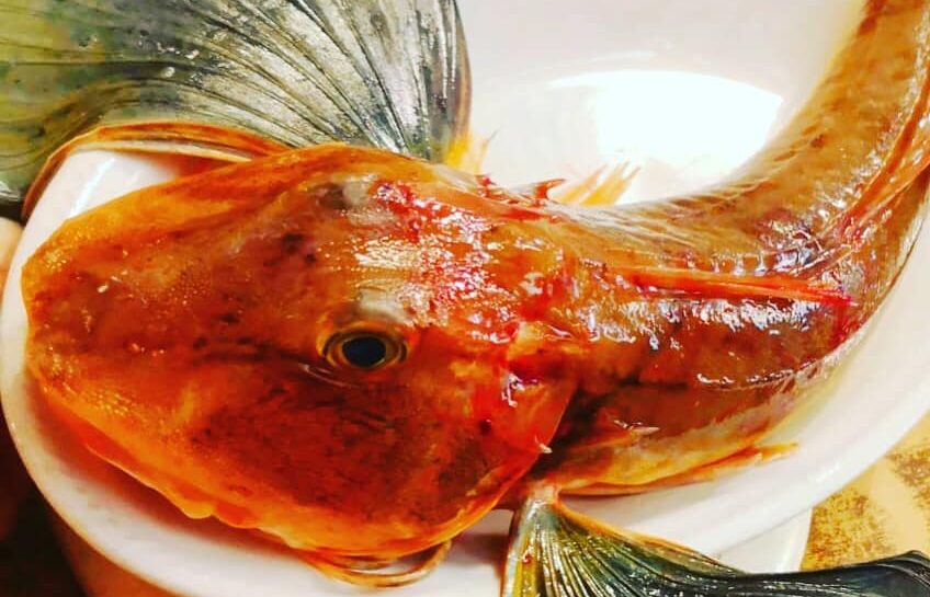 Alla Sorgente – restaurants in Trieste Italy