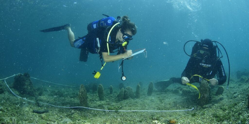 Trieste Castle Miramare - Marine Reserve of Miramare - Scubadiving and Diving
